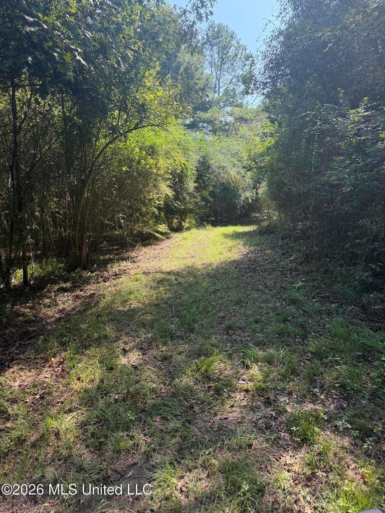 52 Acres Hunting & Timberland in Raleigh, MS