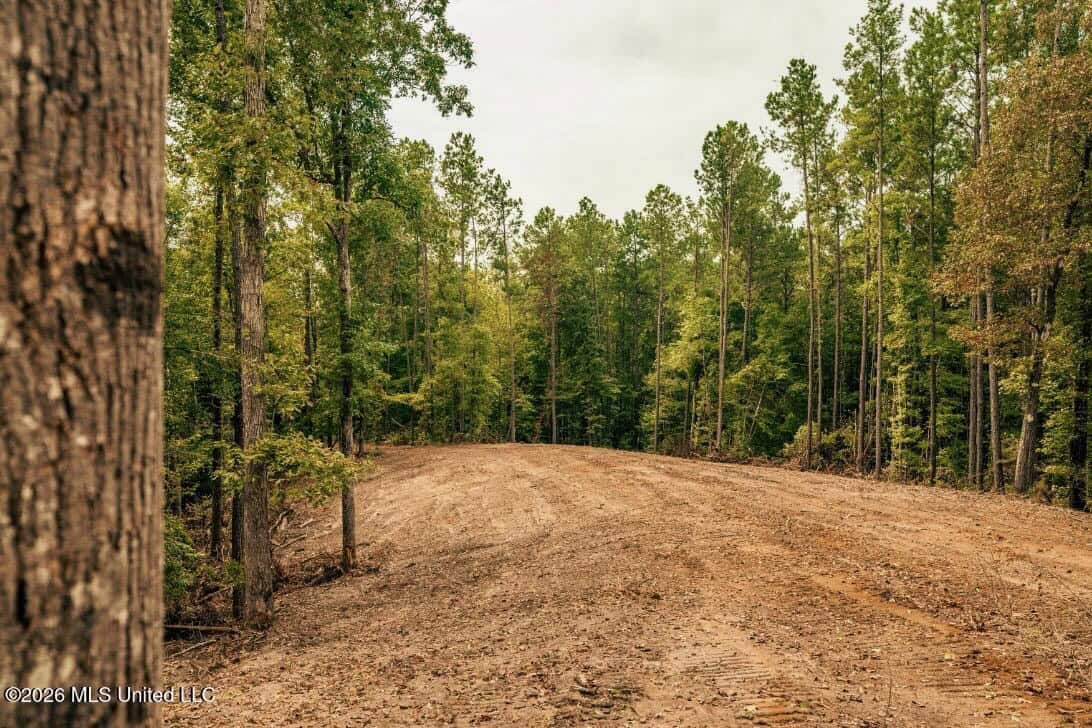 58± Acre Hunting Property in Franklin County, MS