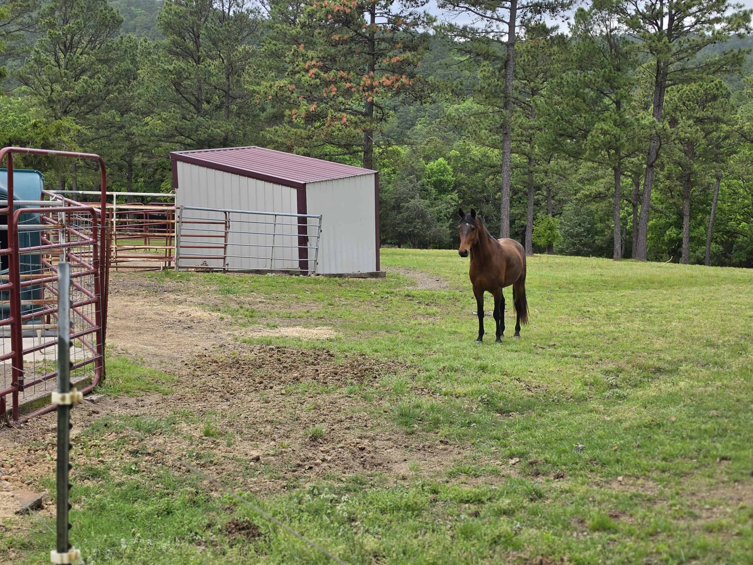 7.65 Acres Bordering Ouachita National Forest with Hunting & Outdoor Recreation
