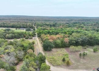 85 Acres of Hunting Land with Native Timber, Wildlife & Pond in SE Oklahoma