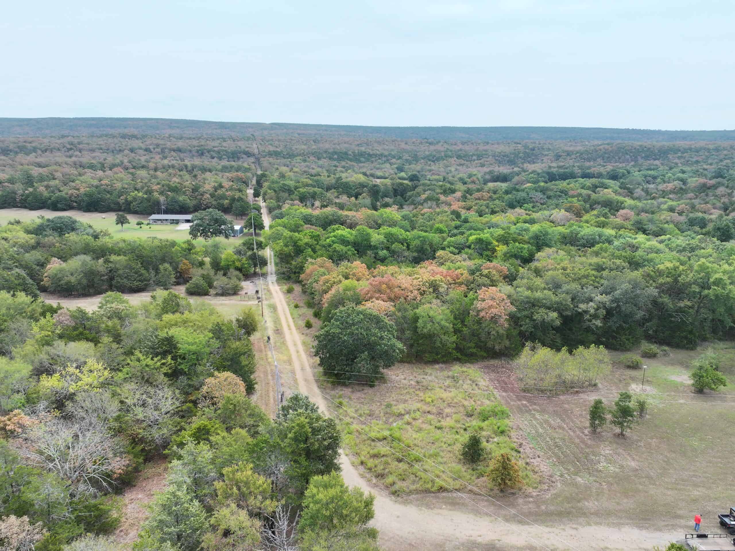85 Acres of Hunting Land with Native Timber, Wildlife & Pond in SE Oklahoma