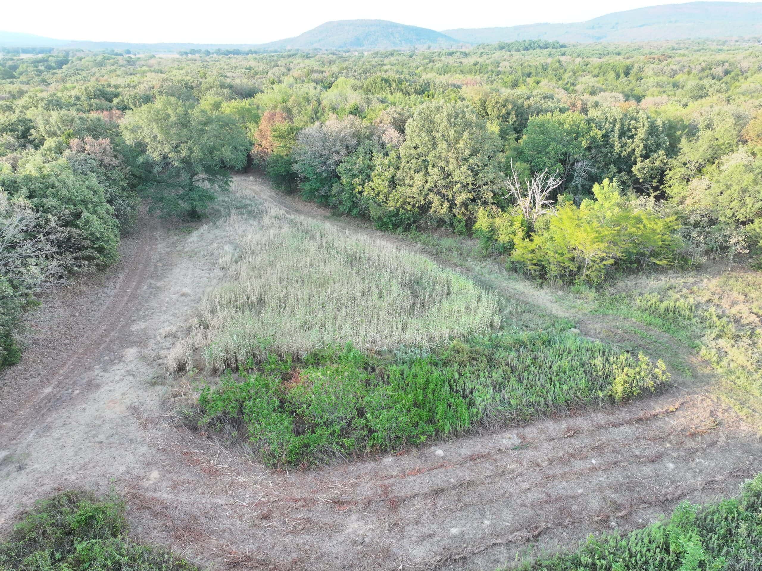 82.61-Acre Hunter’s Retreat with Stocked Lake & Barndominium