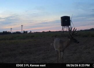 Excellent Building Site & Hunting Property in Coffey County Kansas