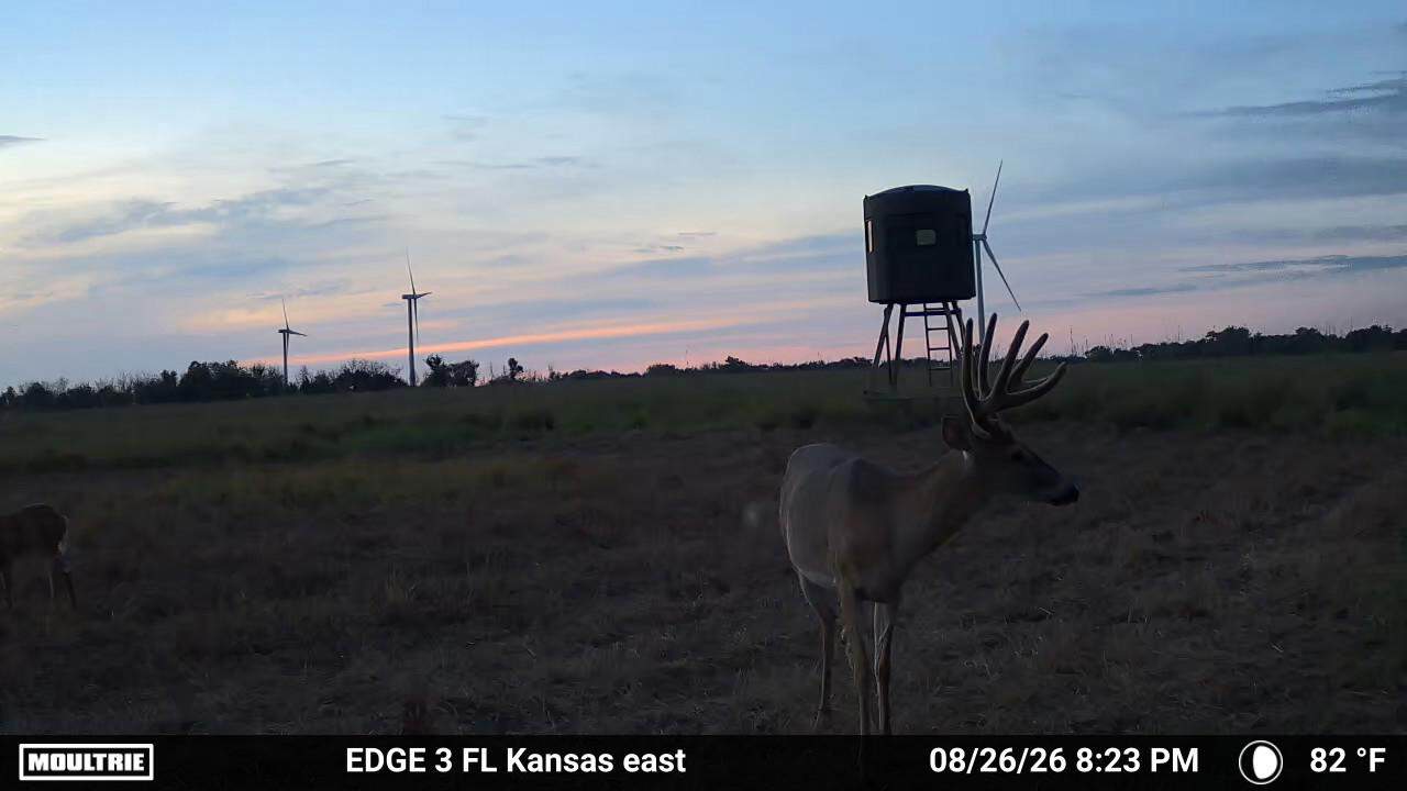 Excellent Building Site & Hunting Property in Coffey County Kansas
