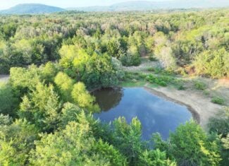 82.61-Acre Hunter’s Retreat with Stocked Lake & Barndominium