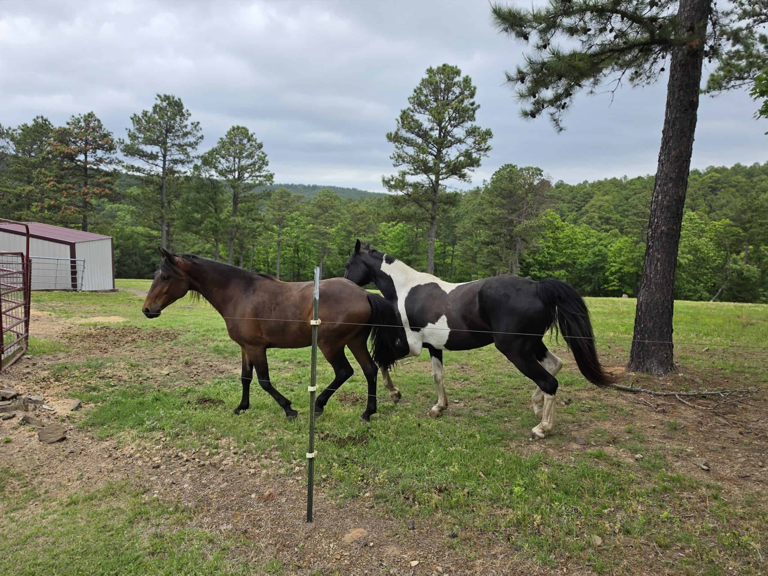 7.65 Acres Bordering Ouachita National Forest with Hunting & Outdoor Recreation