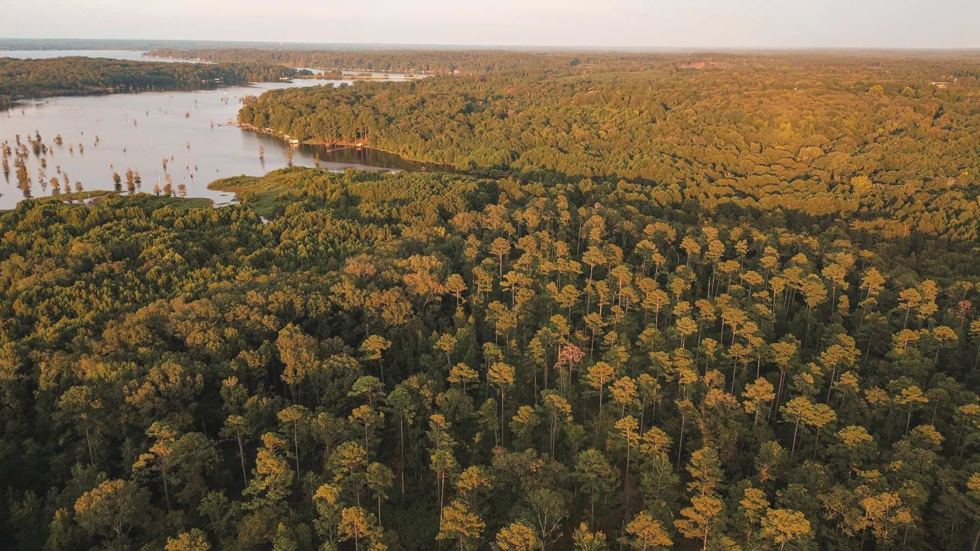 Lake D’Arbonne Land for Sale