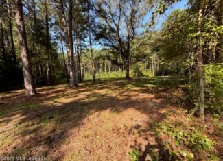 76 Acres of Hunting Land in Raleigh, MS, Smith County