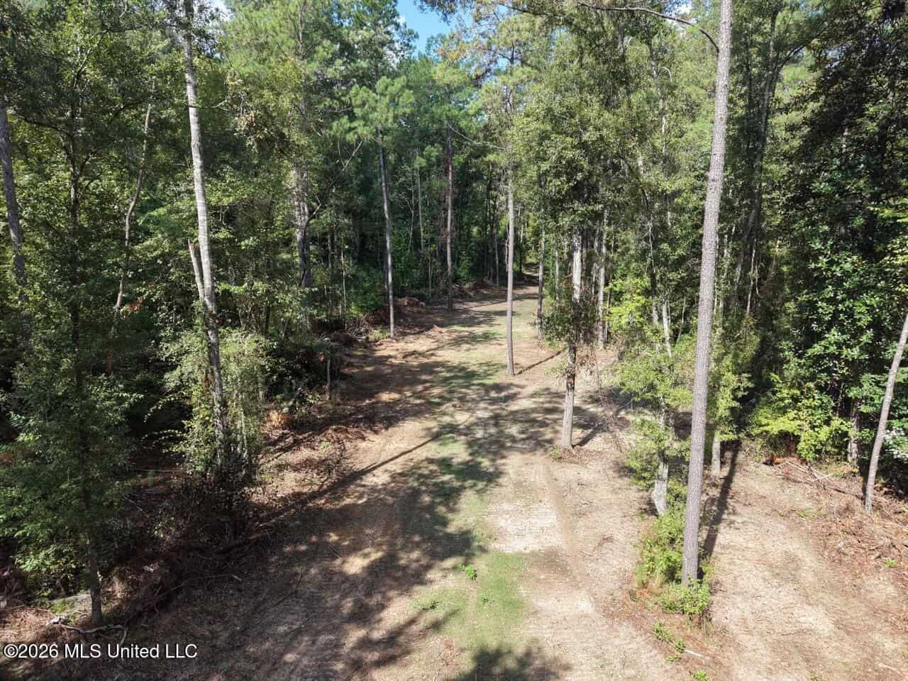 45± Acre Hunting Property in Franklin County, MS