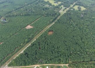 25± Acre Hunting & Homesite Tract in Centreville, MS