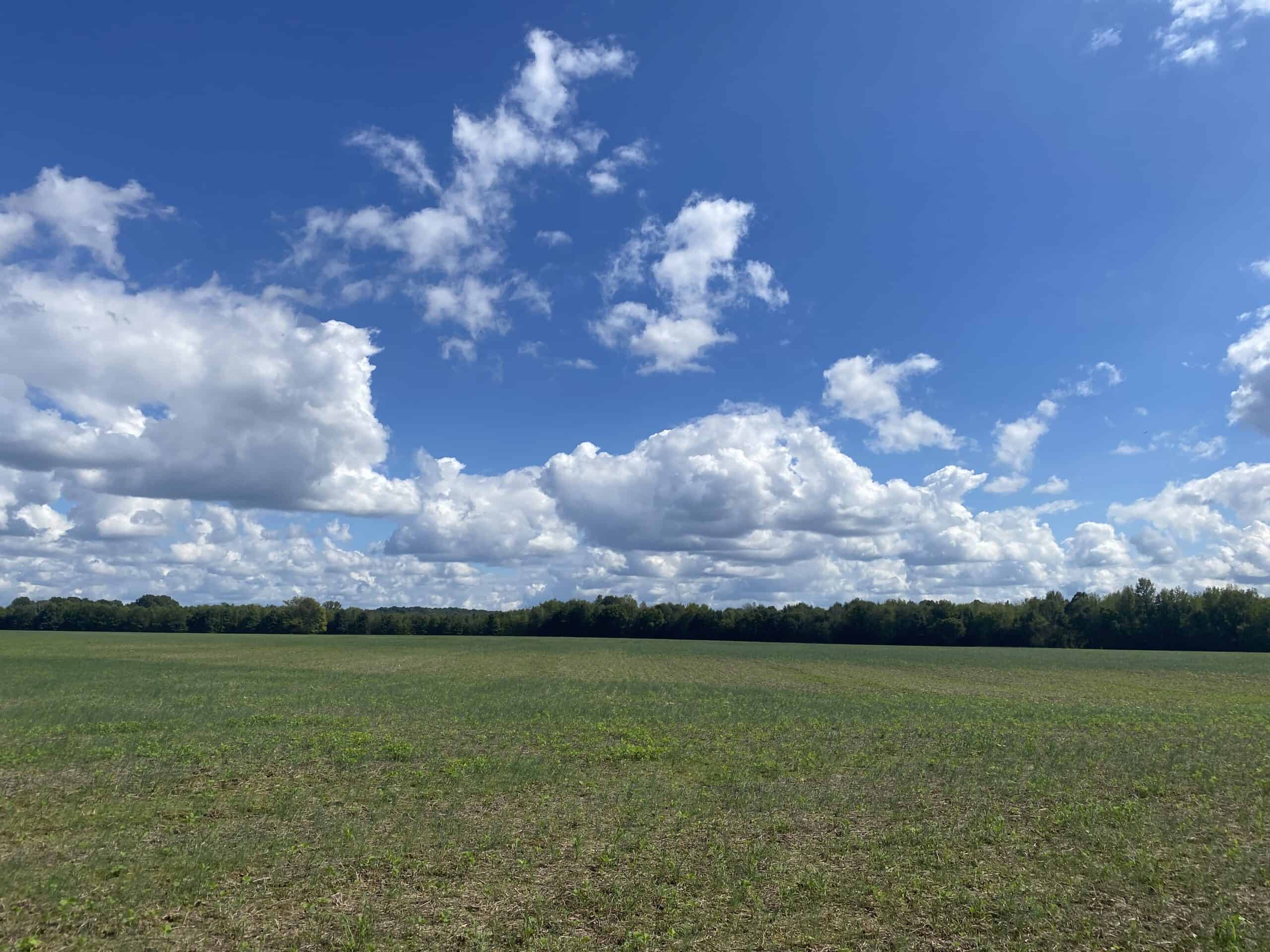 Farmland with great Deer and Turkey Hunting in Tennessee