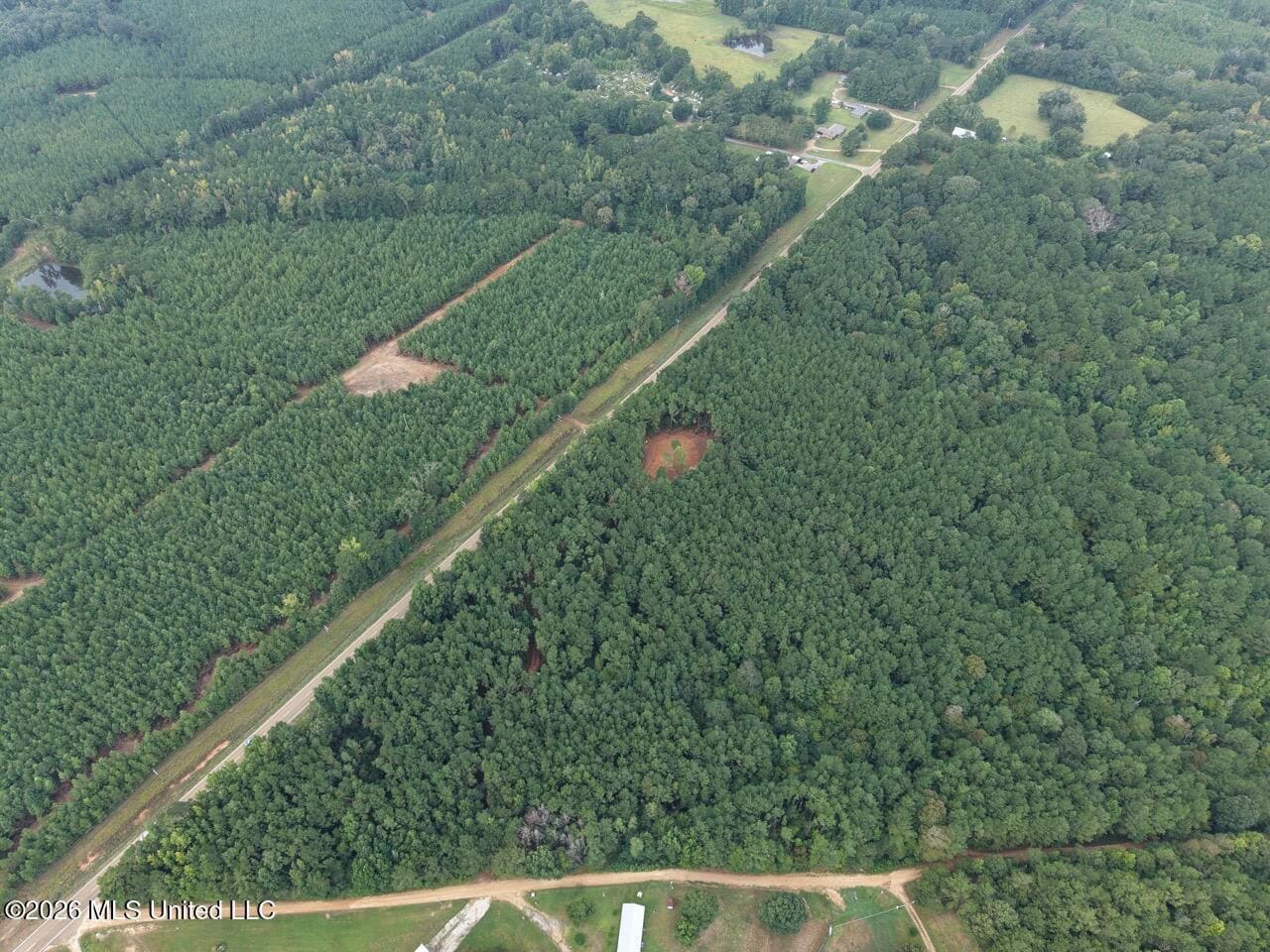 25± Acre Hunting & Homesite Tract in Centreville, MS