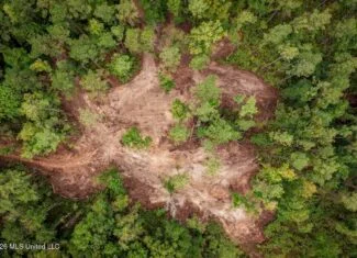 13± Acres by Homochitto National Forest Near Meadville, MS