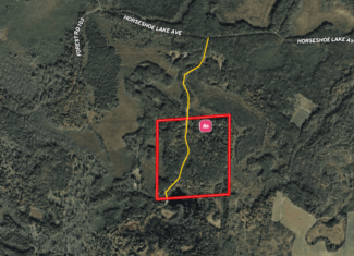37.5± Acres with Off-Grid Cabin – Taylor County, Wisconsin