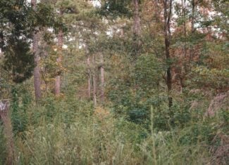 Affordable Union Parish Land for Sale