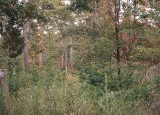 Affordable Union Parish Land for Sale