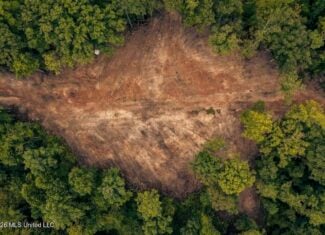 58± Acre Hunting Property in Franklin County, MS