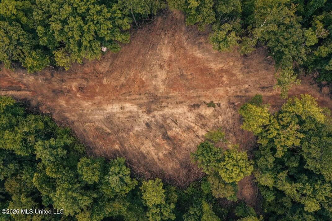 58± Acre Hunting Property in Franklin County, MS