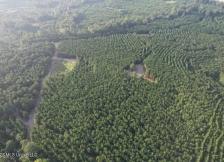80± Acre Riverfront Hunting Land Near Meadville, MS
