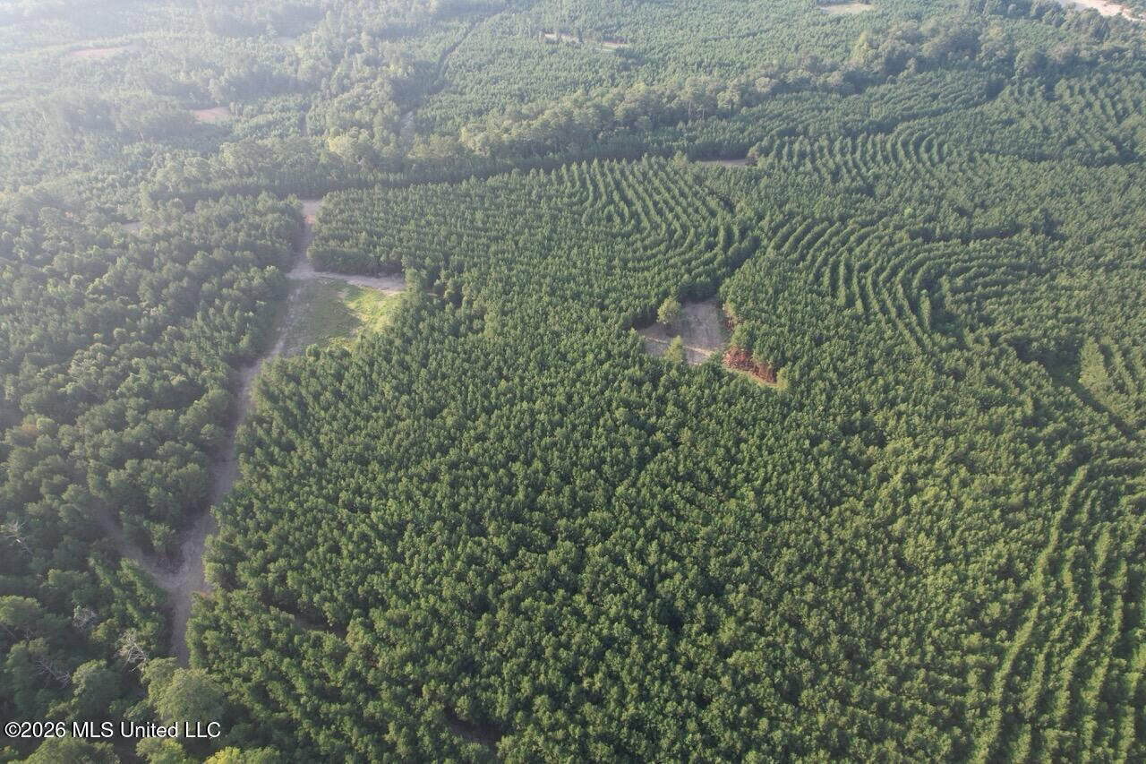 80± Acre Riverfront Hunting Land Near Meadville, MS