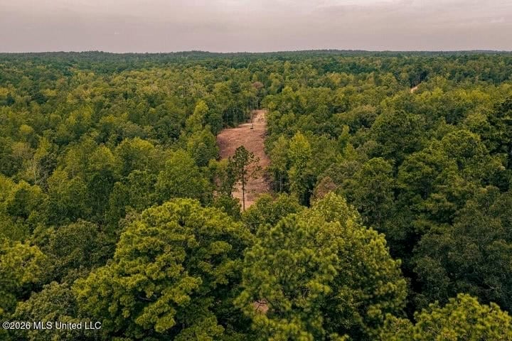 36± Acre Hunting Property Near Bude, MS