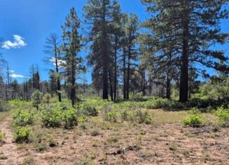 Colorado Hunting Land For Sale