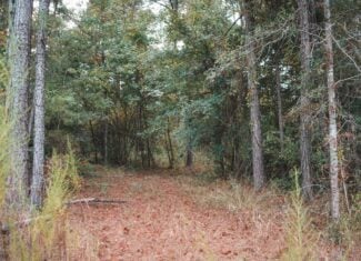 Affordable Union Parish Land for Sale