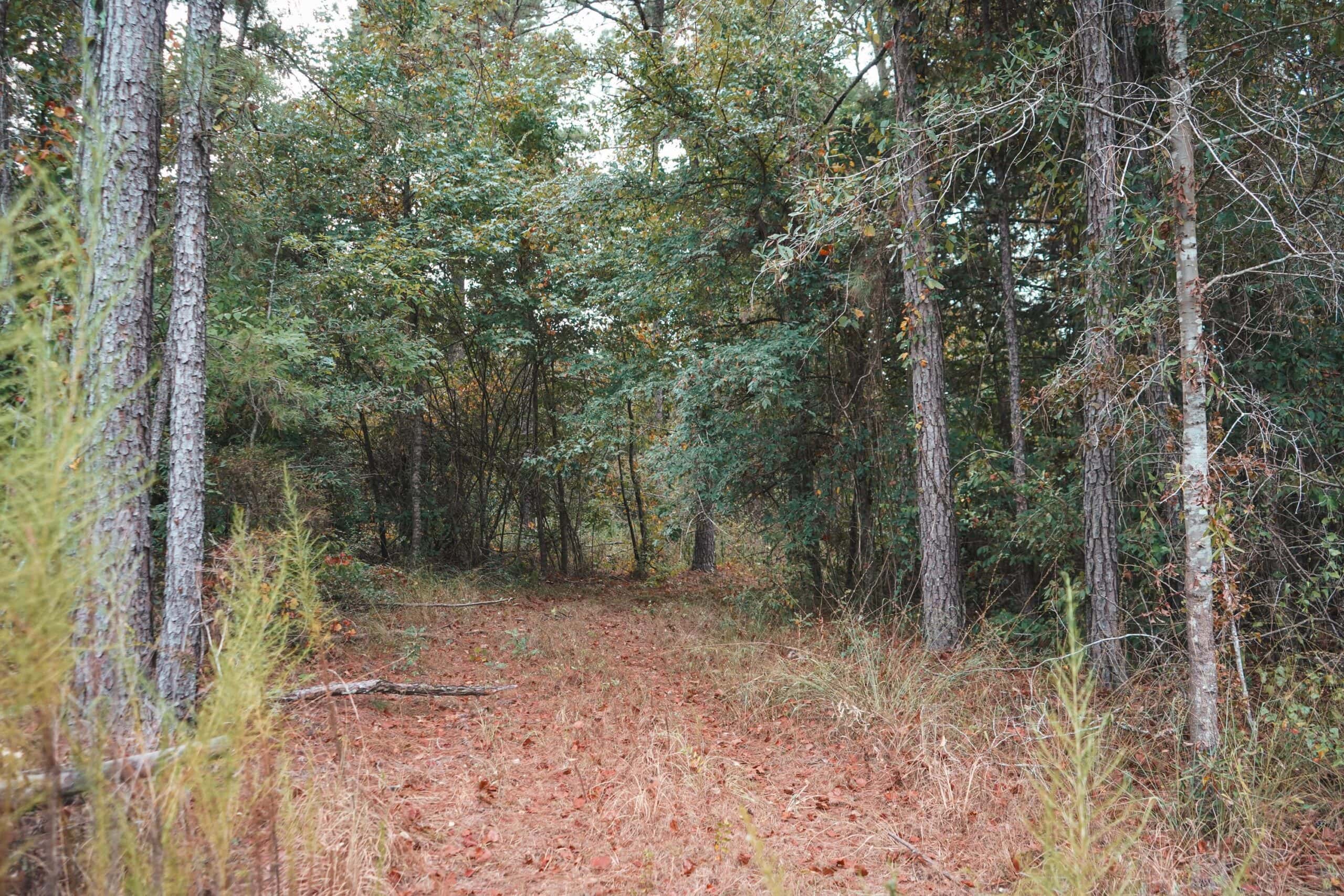Affordable Union Parish Land for Sale