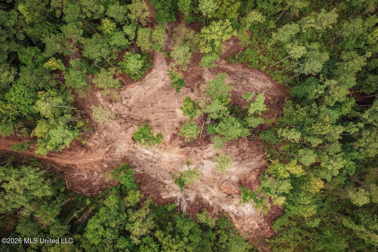 13± Acres by Homochitto National Forest Near Meadville, MS