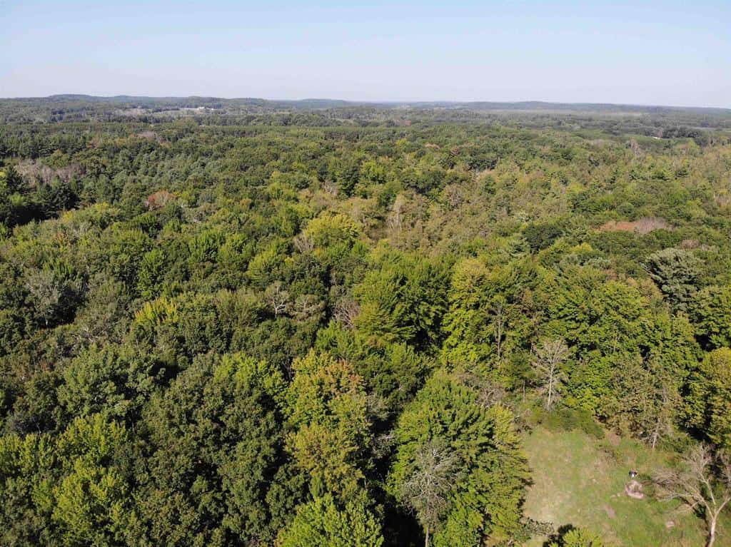 Hunting Land For Sale in Ogdensburg WI