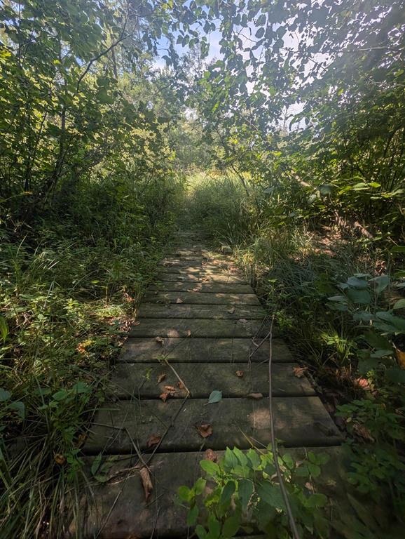 Hunting Land For Sale in Ogdensburg WI