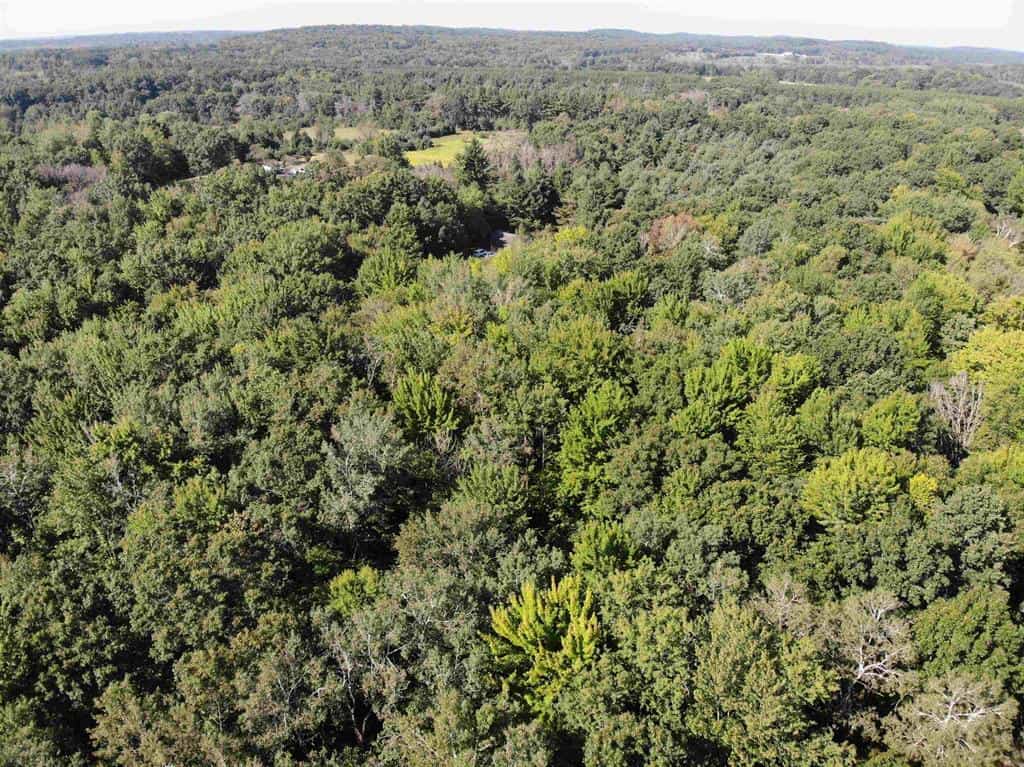 Hunting Land For Sale in Ogdensburg WI