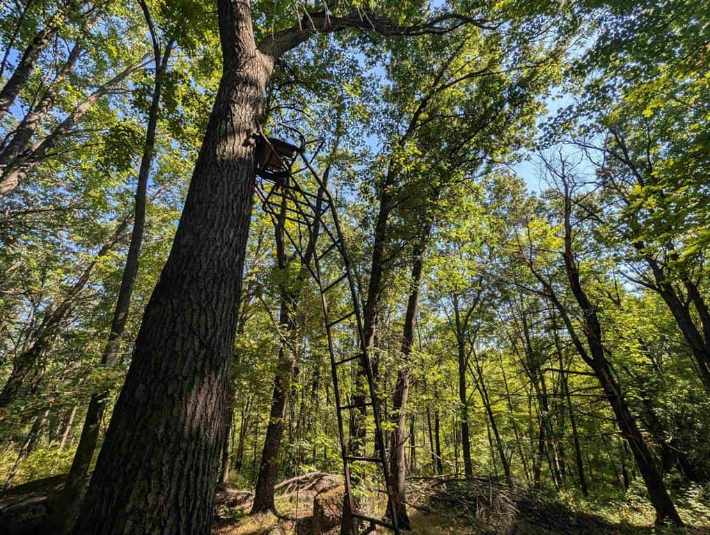 Hunting Land For Sale in Ogdensburg WI