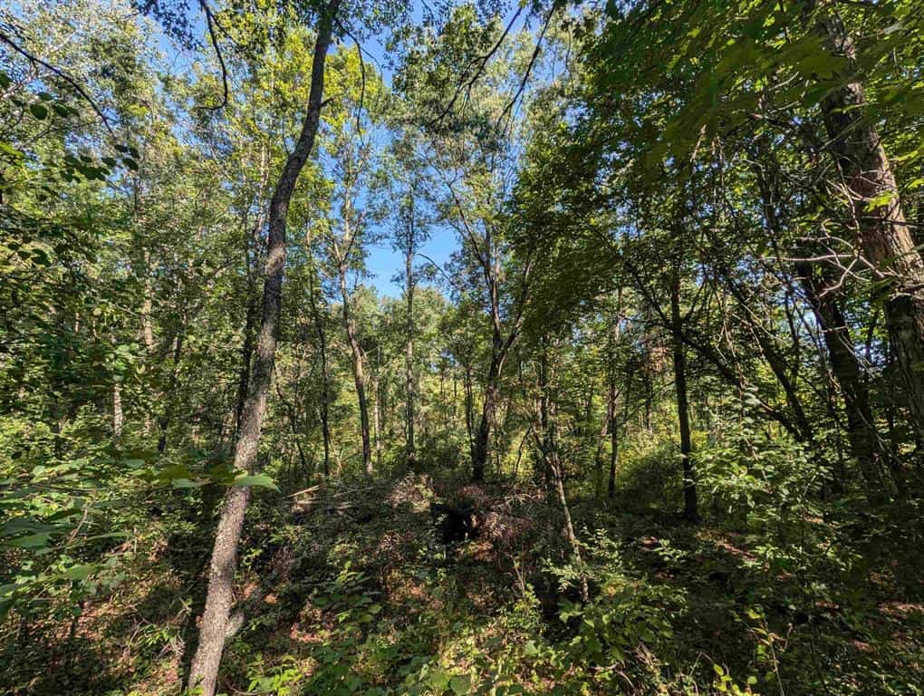 Hunting Land For Sale in Ogdensburg WI
