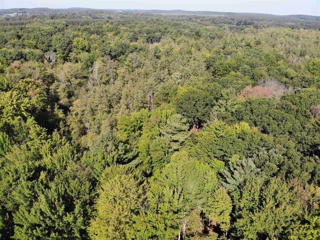 Hunting Land For Sale in Ogdensburg WI