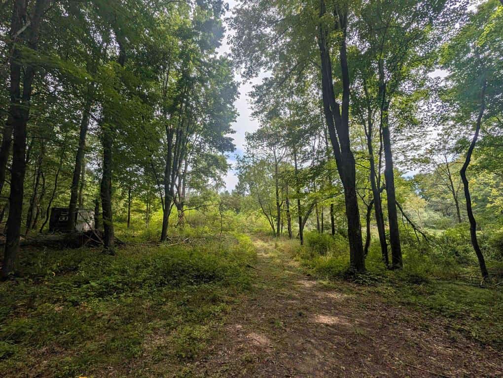 Hunting Land For Sale in Ogdensburg WI