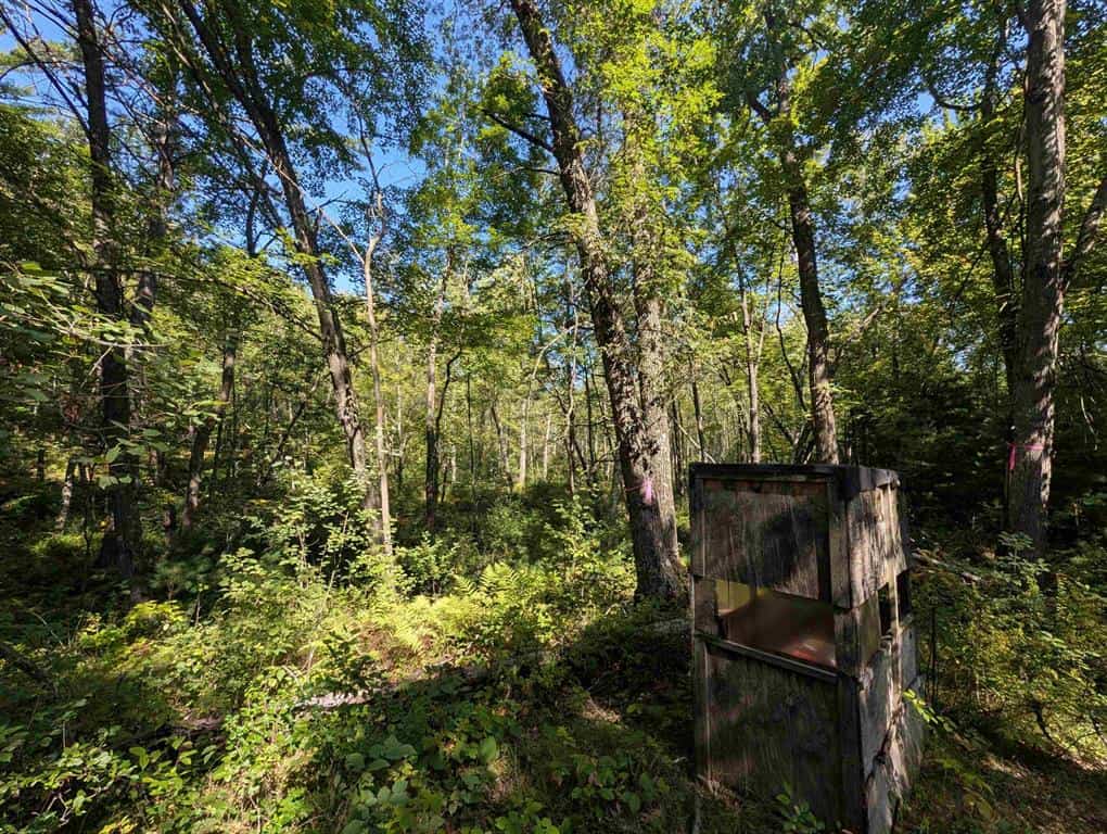Hunting Land For Sale in Ogdensburg WI