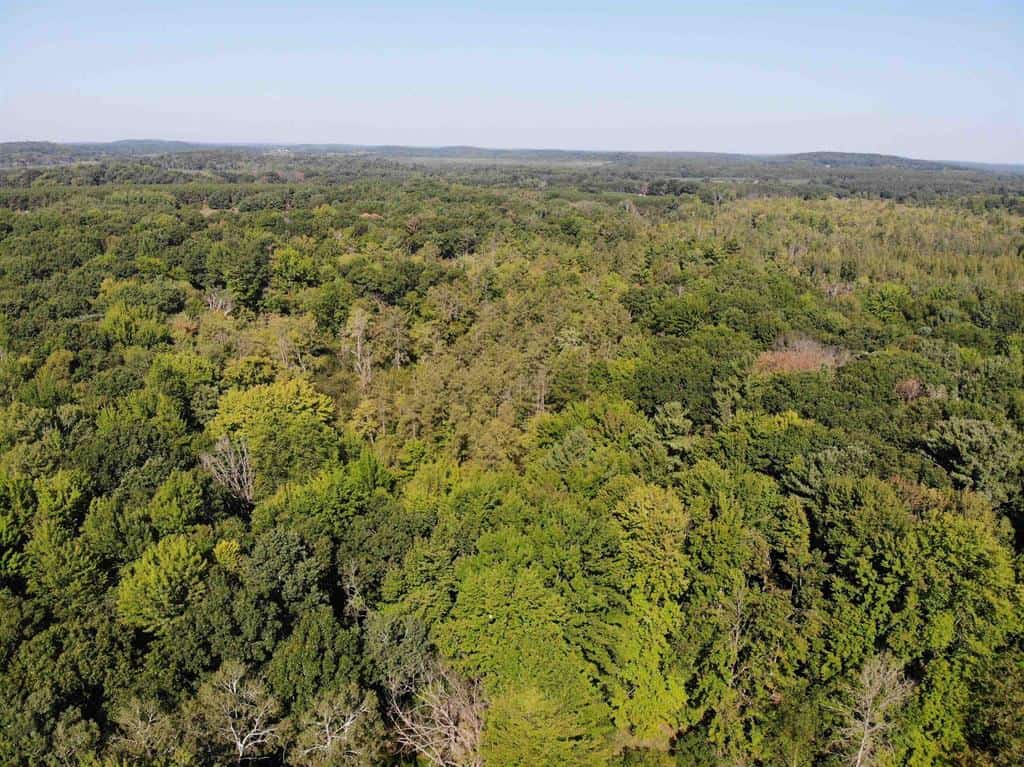 Hunting Land For Sale in Ogdensburg WI