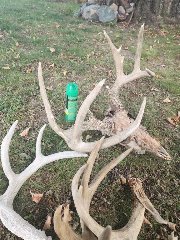 Hunting Land For Sale in Ogdensburg WI