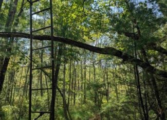 Hunting Land For Sale in Ogdensburg WI