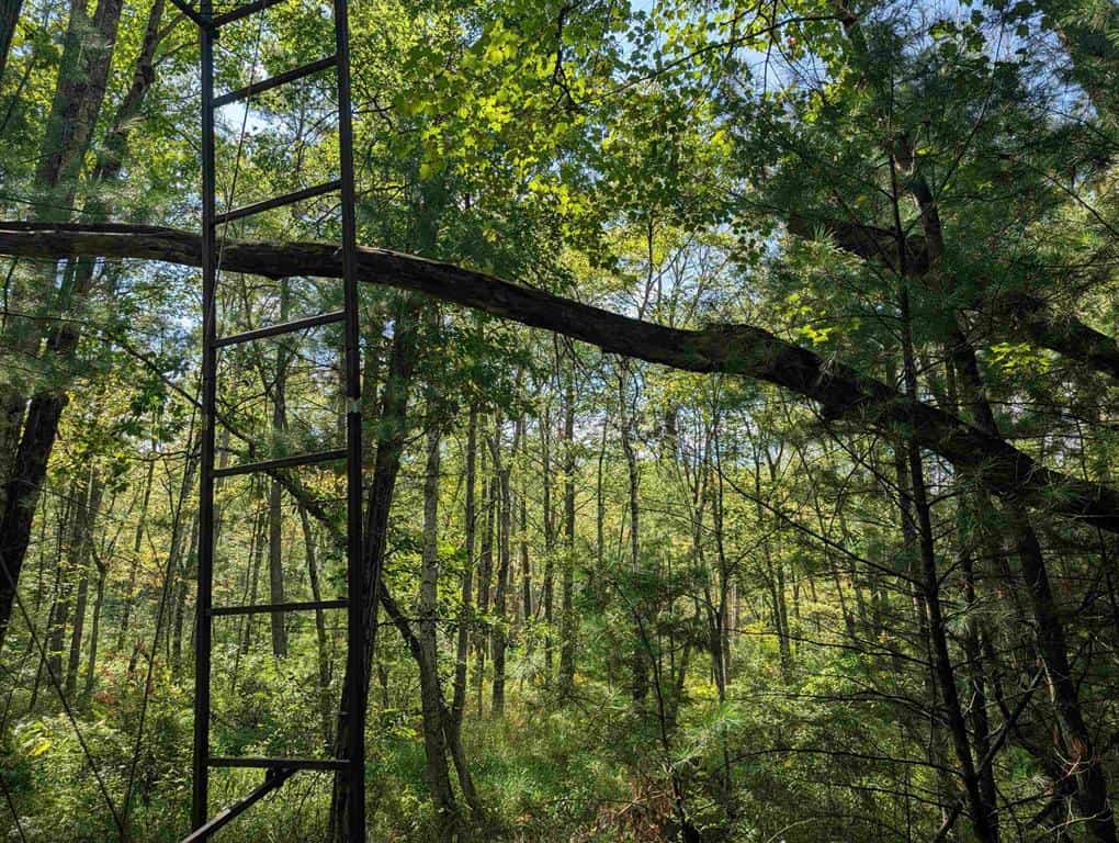 Hunting Land For Sale in Ogdensburg WI