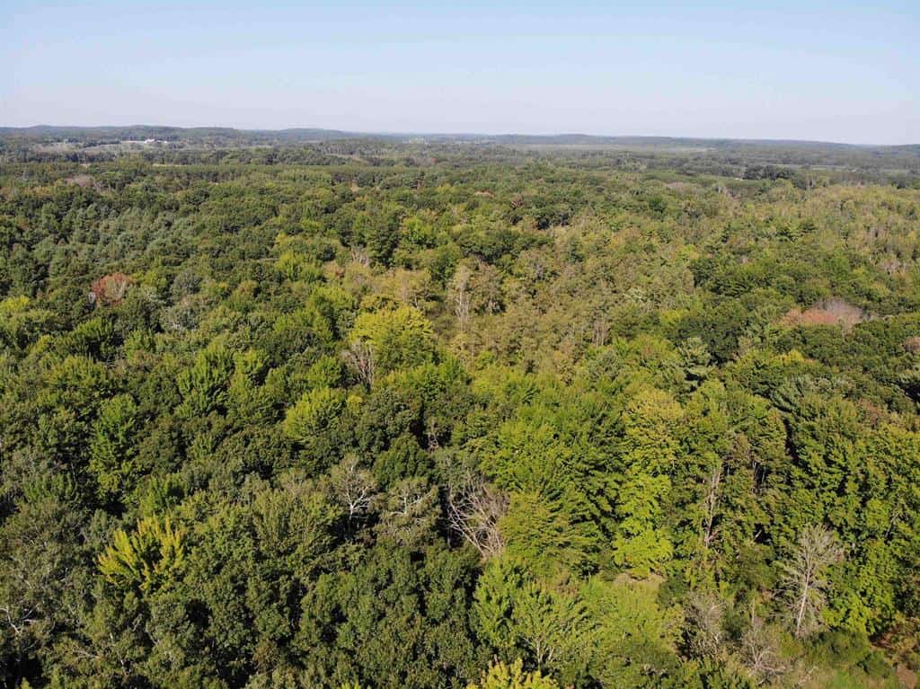 Hunting Land For Sale in Ogdensburg WI