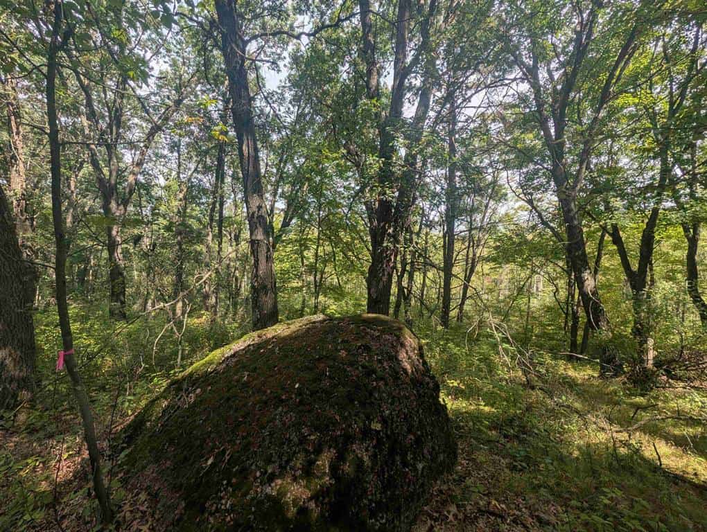 Hunting Land For Sale in Ogdensburg WI