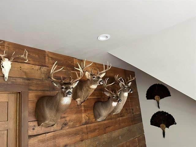 Hunting Land For Sale in Ogdensburg WI