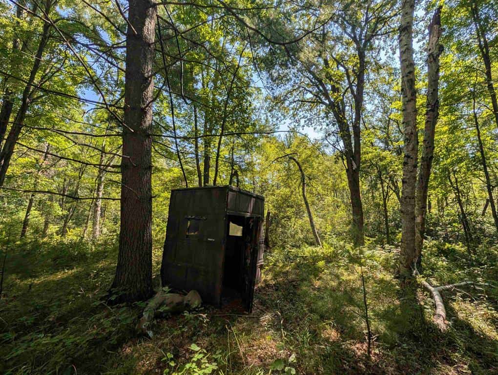 Hunting Land For Sale in Ogdensburg WI