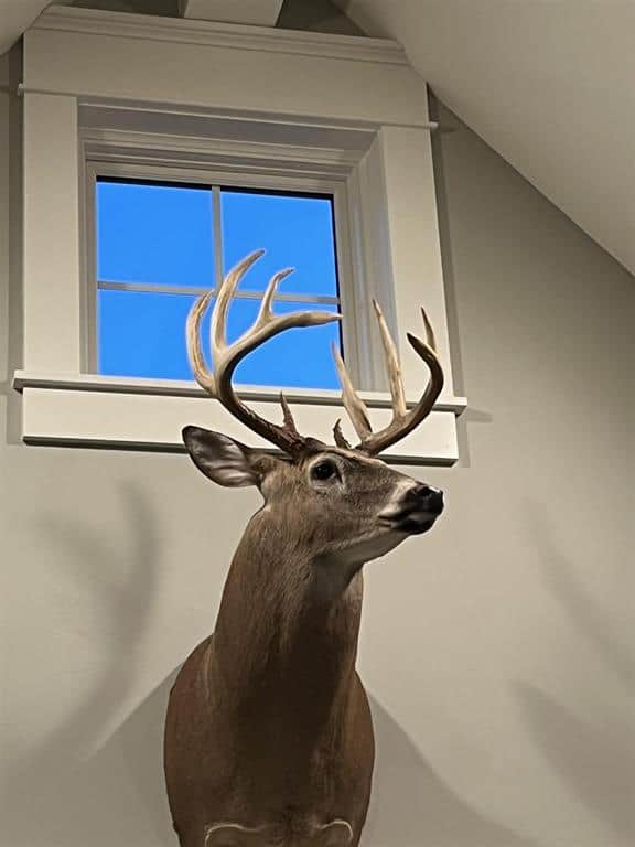 Hunting Land For Sale in Ogdensburg WI