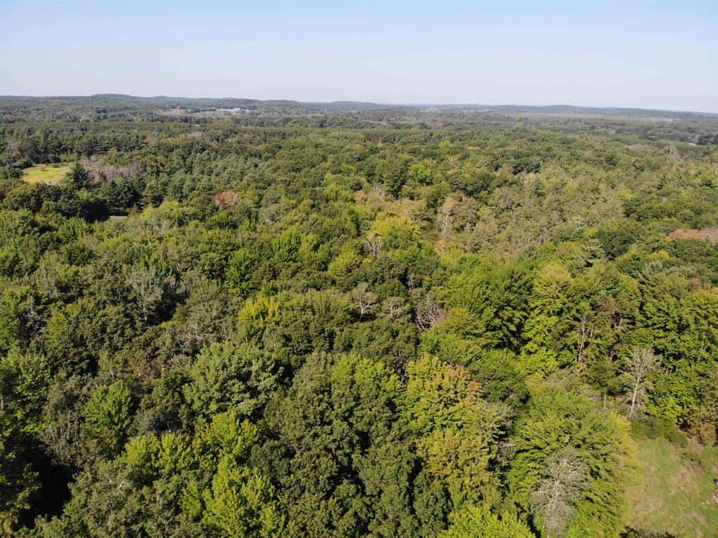 Hunting Land For Sale in Ogdensburg WI