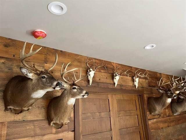Hunting Land For Sale in Ogdensburg WI
