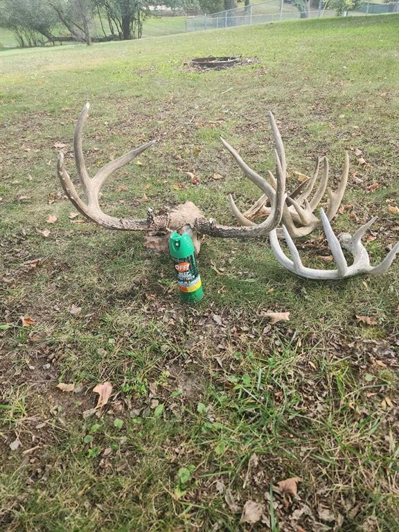 Hunting Land For Sale in Ogdensburg WI