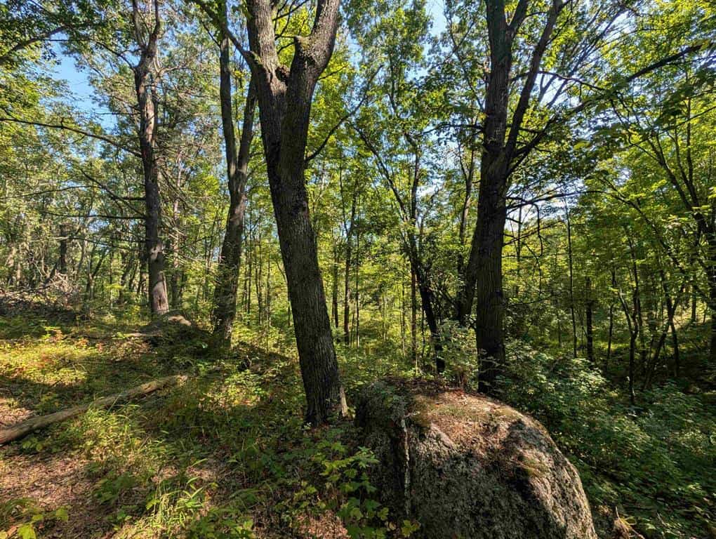 Hunting Land For Sale in Ogdensburg WI